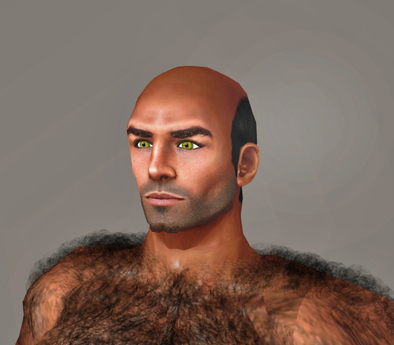 Second Life Marketplace - Very Hairy Back
